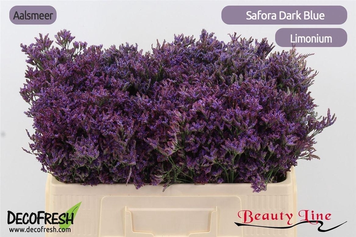 Lim Safora Dark Blue