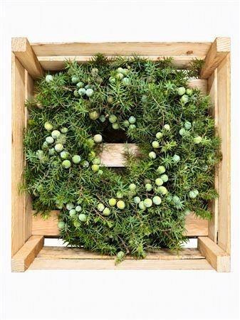 <h4>SIERFRUIT KRANS H%</h4>
