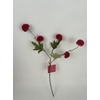 AF Gompy spray x5 L51cm red