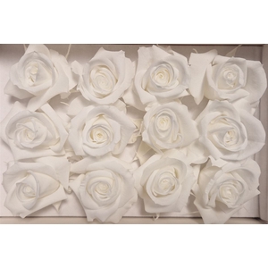 Ro Pres.. White (4cm)
