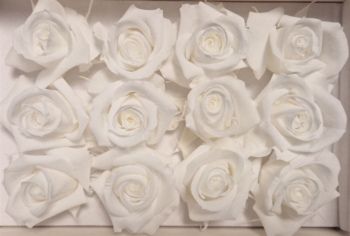 <h4>Ro Pres Mini White</h4>