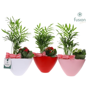 Pot keramiek ovaal Medium met Arrangement