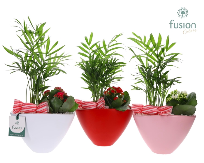 <h4>Pot keramiek ovaal Medium met Arrangement</h4>