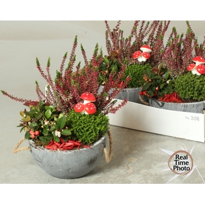 ARR TUINPLANTEN