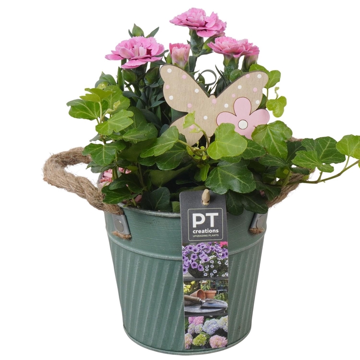 <h4>PTPP6885 Arrangement Patio in metalen pot</h4>