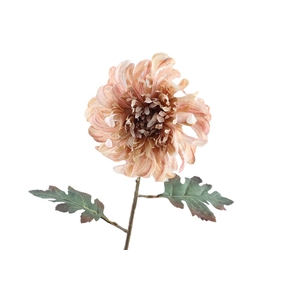 Crysanthemum Dried Peach