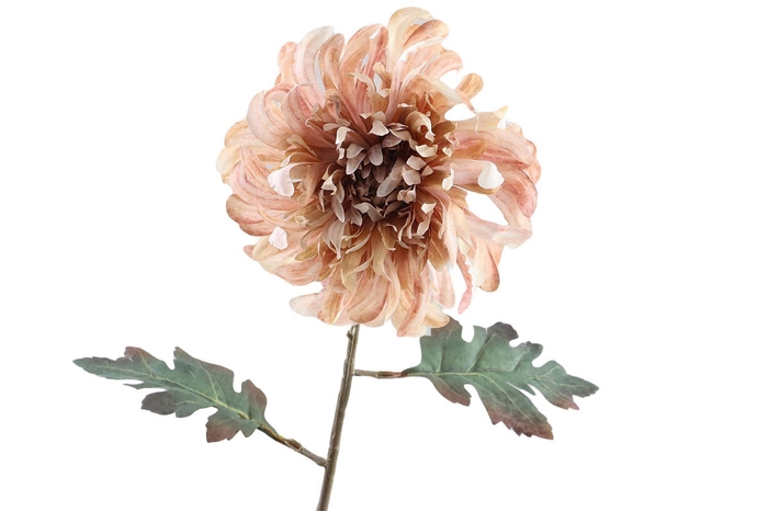 <h4>Crysanthemum Dried Peach</h4>