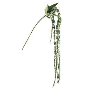 Amaranthus Green FL440222GRN