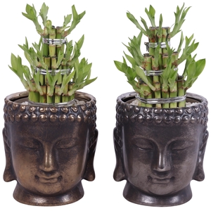 Lucky Bamboo Shape Round 3S in Ceramic Buddha Gold/Silver Ø15cm
