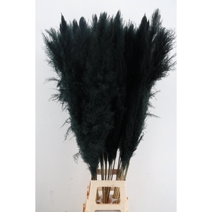 DF Pampas 130cm Black