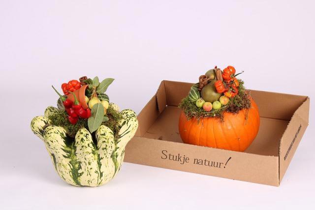 <h4>CUCURBITA</h4>