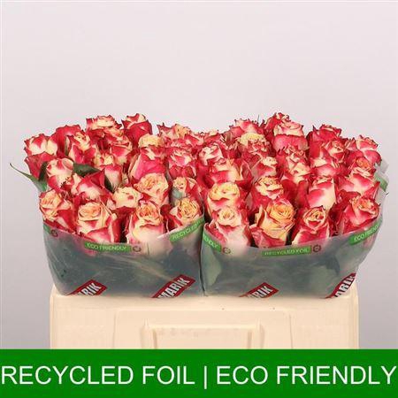 <h4>R Gr Chapeau</h4>