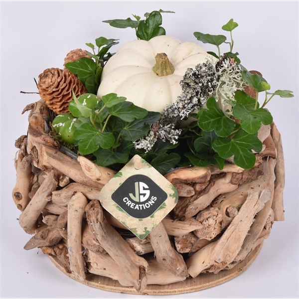 <h4>Arrangementen Sierfruit</h4>