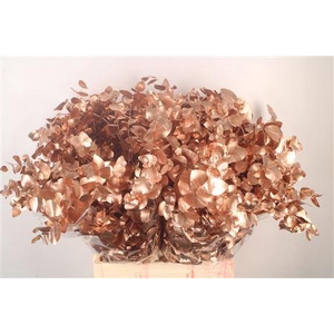 Euca Cin V Copper 400 Gram