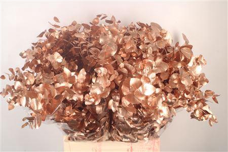 <h4>Euca Cin V Copper 400 Gram</h4>