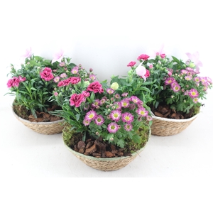 arr4 Outdoor PL - Mand schaal mix L los
