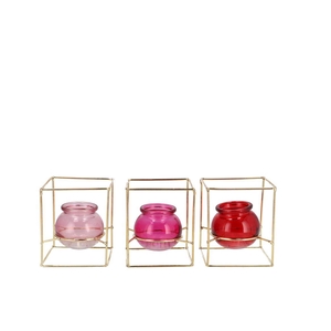 Polly Dutch Pink Mix Metal Rack Square Glass Ass 11x11x13cm