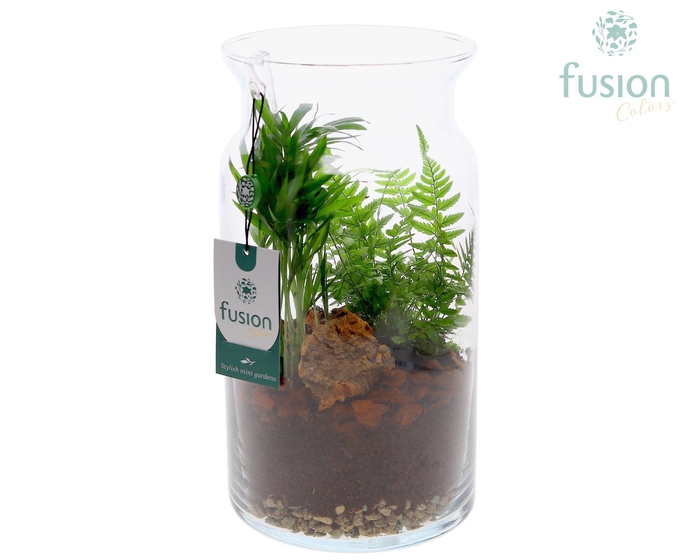 <h4>Glas Melkbus met arrangement</h4>