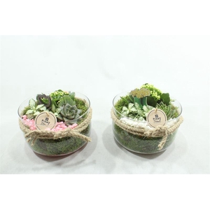 3519 BOSE X3 ROZE/WIT