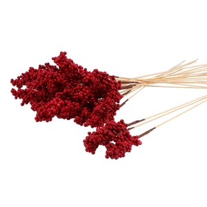 Pick Red Current 10x6cm+50cm Stick P/25 Nm
