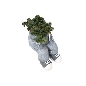 Arr.   Kamerplant Groen L%