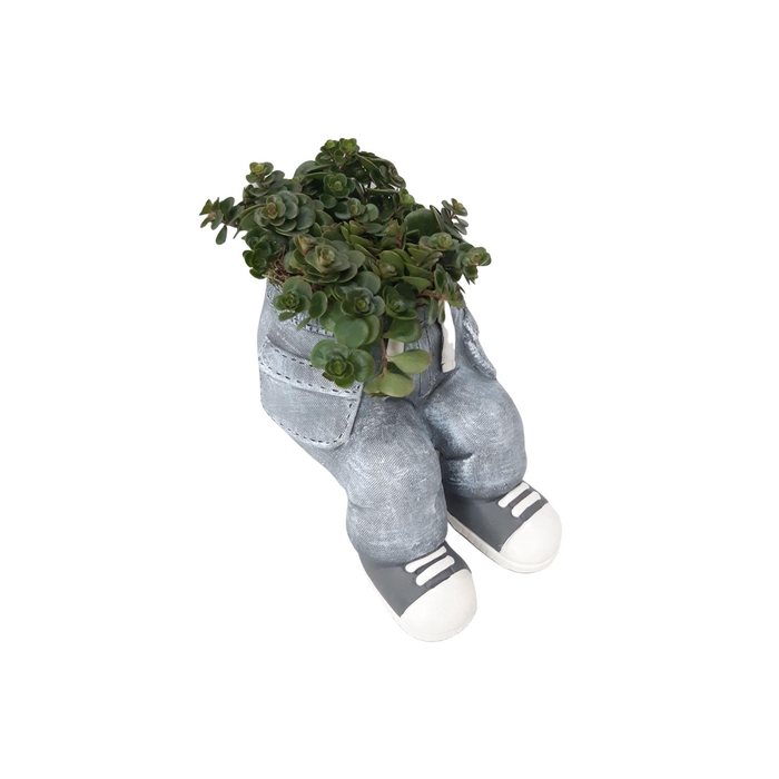 <h4>Arr.   Kamerplant Groen L%</h4>