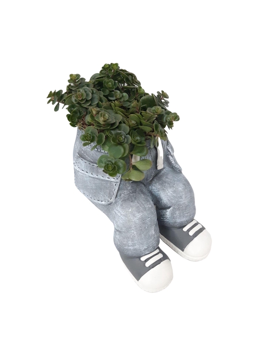 Arr.   Kamerplant Groen L%