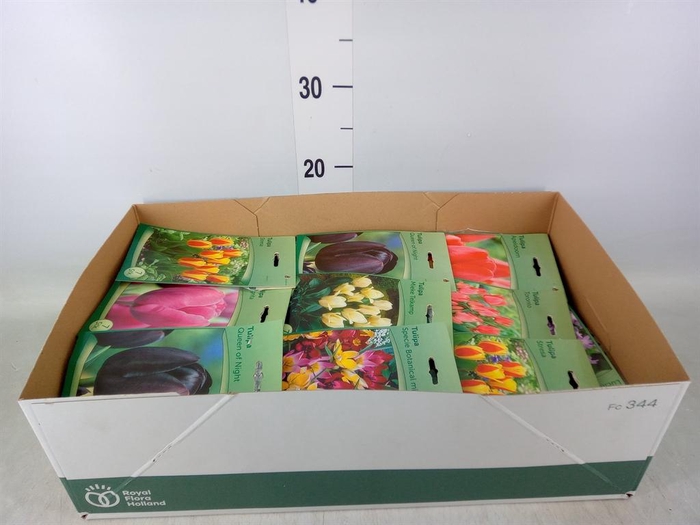 <h4>Flowerbulbs, corns or tubers   ...</h4>