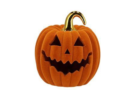 <h4>Autumn Flock Scottish Spice Pumpkin Face Led 17x17</h4>