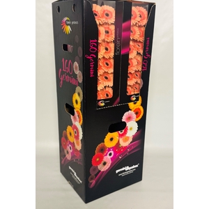 GE MI COOKIE N CREAM Aquabox - diamond (8 x 15)