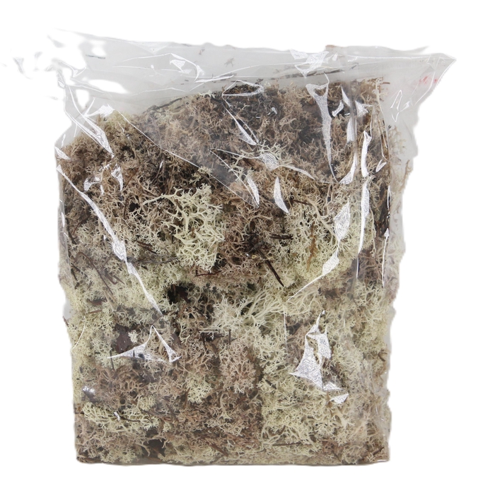 <h4>MOSSEN OV H%</h4>