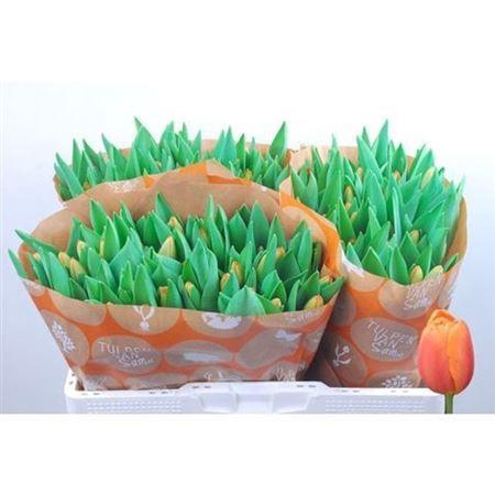 <h4>Tu En Time Out</h4>