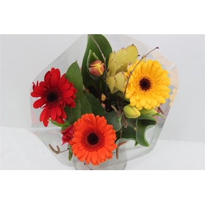 Boeket Voorjaar (or Rd Gl)