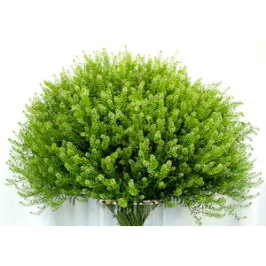 Greenery Lepidium Green 70cm EC