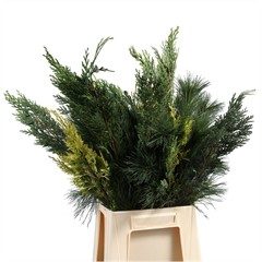<h4>Leaf conifer mix</h4>