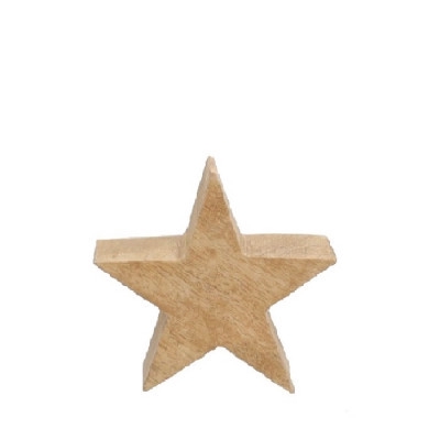 Kerst Deco ster 14*4*14cm