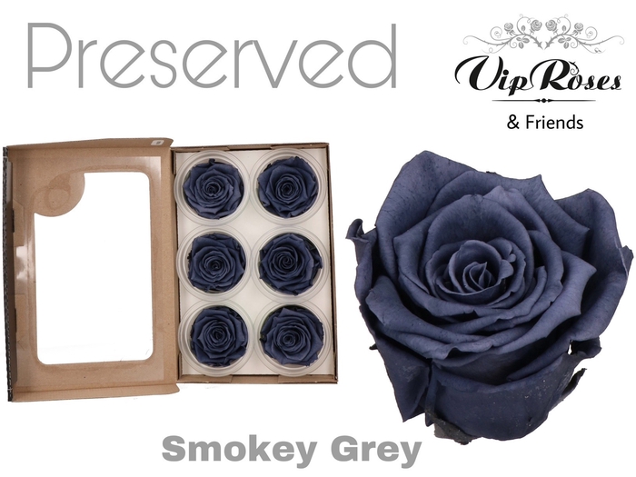 R PRESERVED SMOKEY GREY