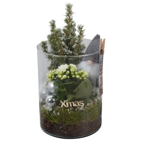 <h4>PTCHW4405 Arrangementen Kerst</h4>