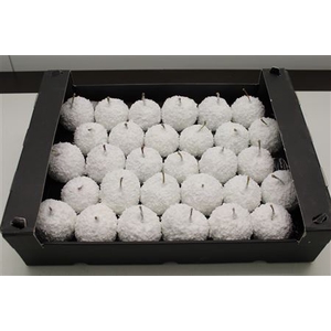 Waxappel Sneeuw