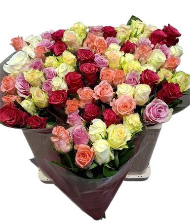 <h4>R Gr Pastel Mix</h4>