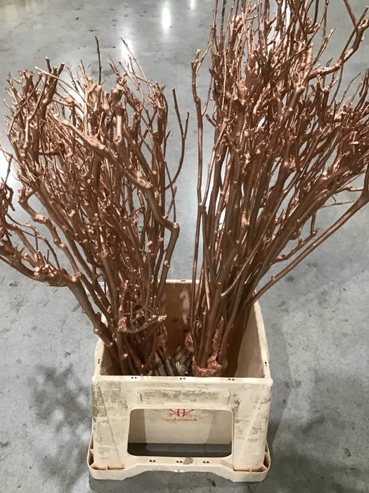 <h4>Seringen tak L60 Metalic KOPER pb</h4>