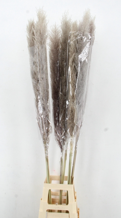 <h4>DROOGBL BEWERKT H%</h4>