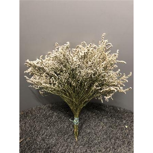 Lim Tataricum Naturel