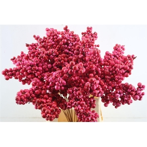 Berries Big Automn Pink