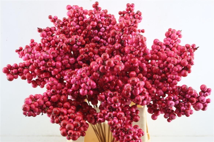 <h4>Berries Big Automn Pink</h4>