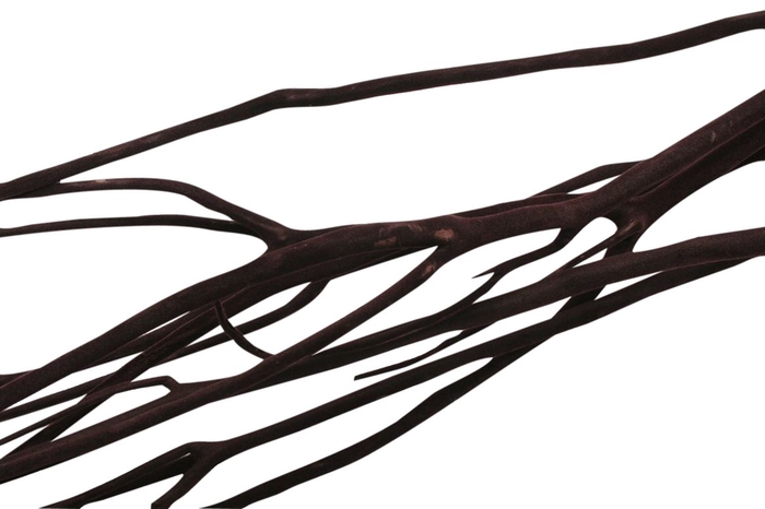 Bundle Mitsumata Flaked 3 Pcs L115