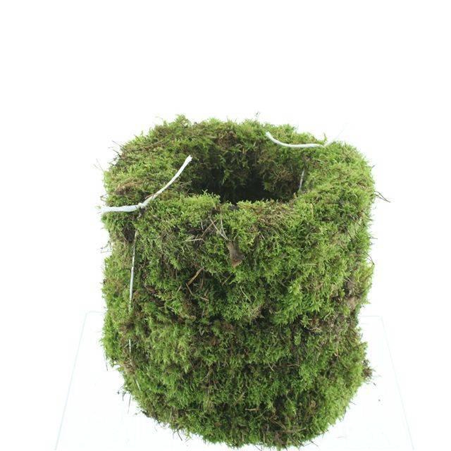 <h4>KRANS MOS H%</h4>