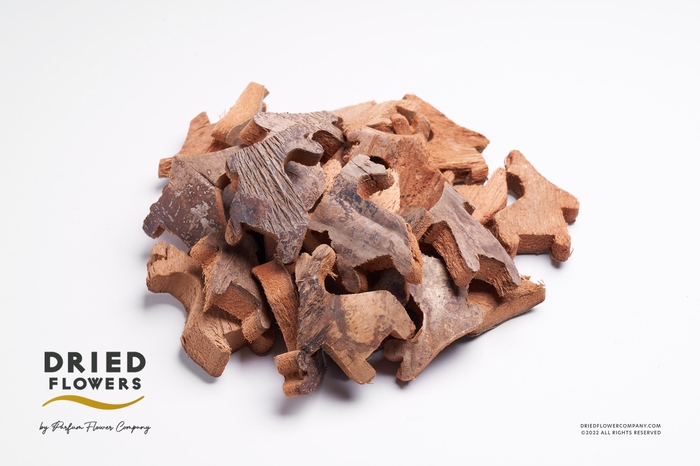 Dried Deco Coconut Skin Reindeer Natural