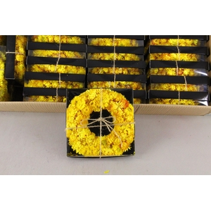 Wreath Helichrysum 20cm Yellow