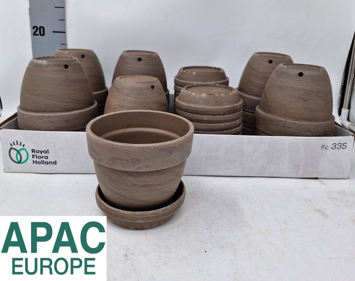 <h4>TERRACOTTA GREY P12</h4>